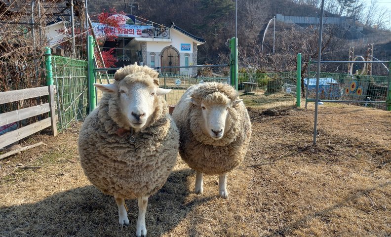 양몰이,활쏘기,전통놀이, 신명나는 강변 생태체험장 | 낙동강 화랑의집