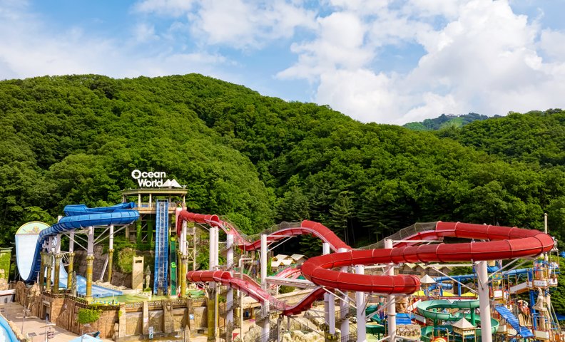 소노벨 비발디파크 D