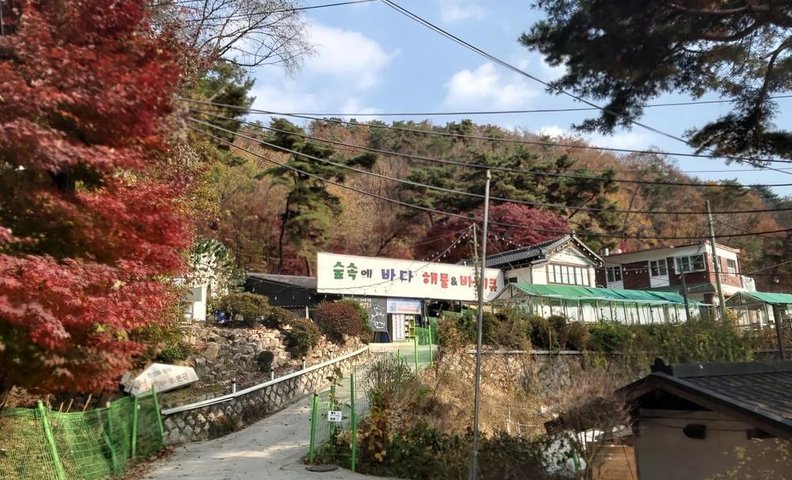 서울 월벽타운