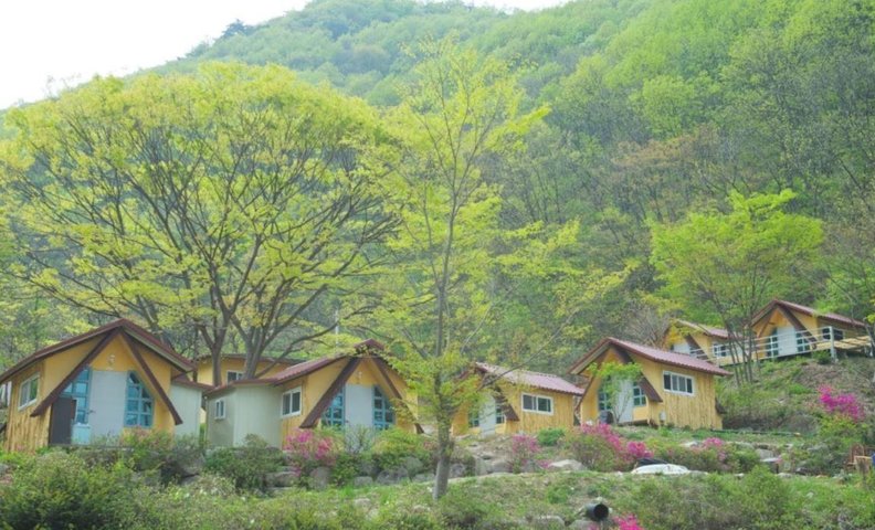완주 예원캠핑장