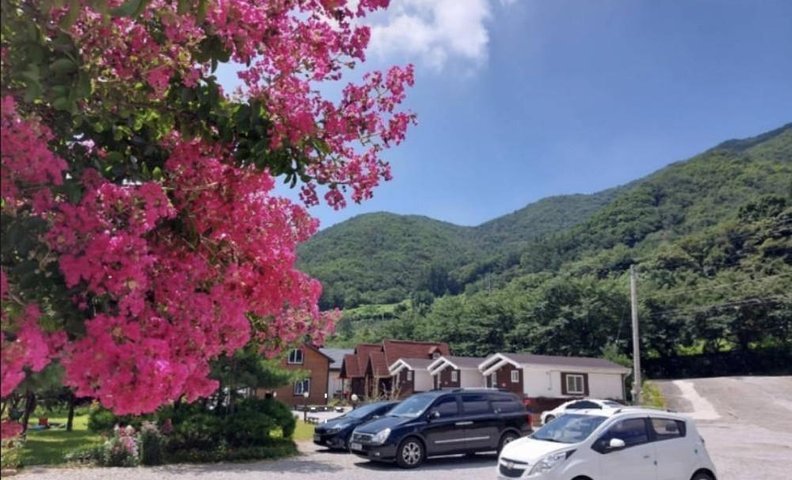 영주 소백산자연누리펜션