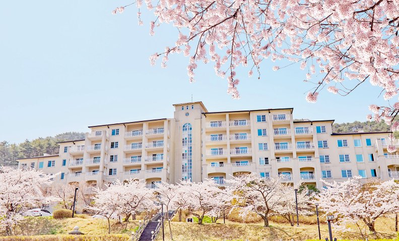 경주 마우나오션리조트