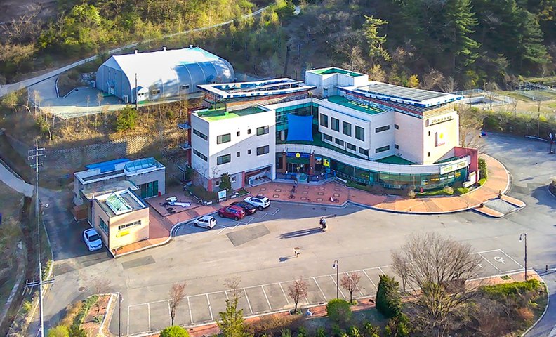 인제 자작나무 스테이&라이프 위드도그 펜션