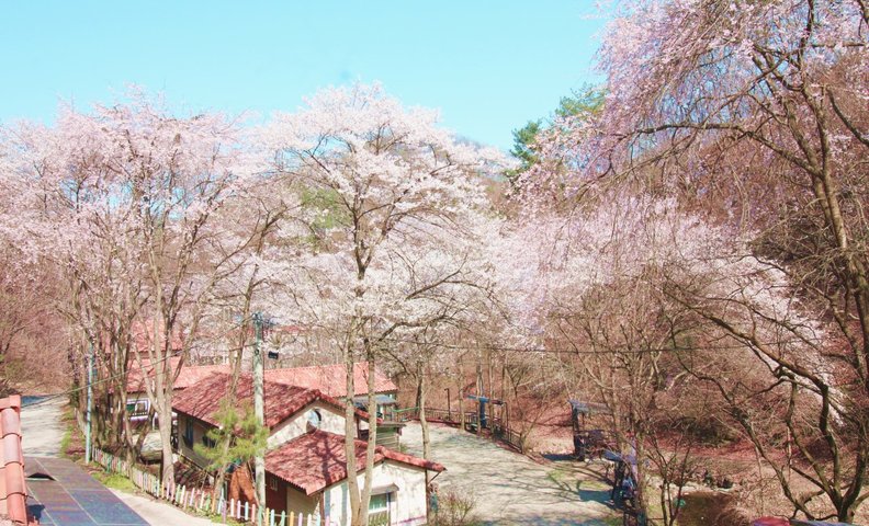 대전 힐스테이 펜션