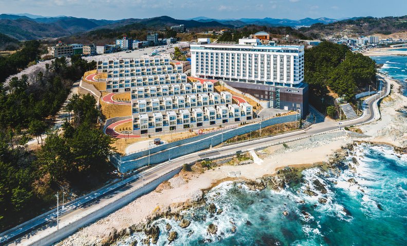 경북 파나크 오퍼레이티드 바이 소노