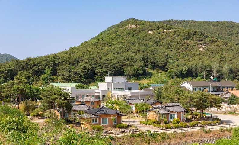 고창 황토복분자펜션