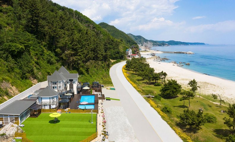 울진 아라누리 애견펜션