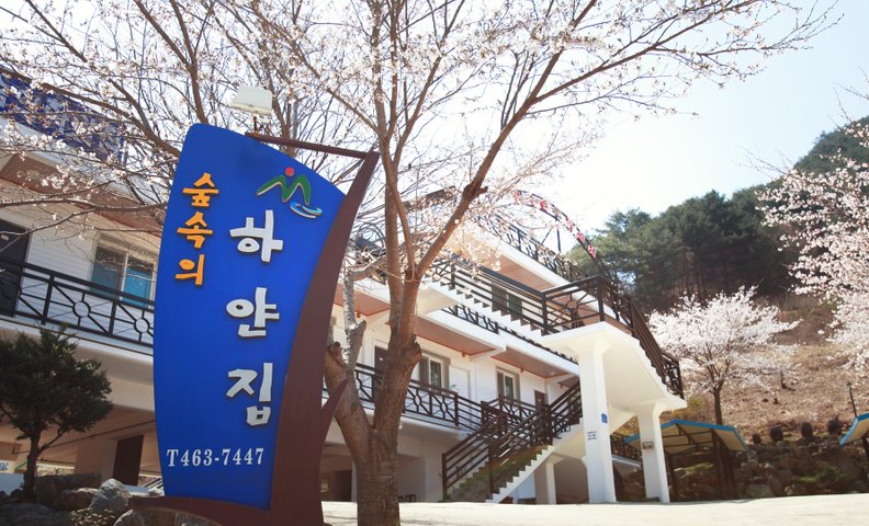 인제 숲속의하얀집펜션