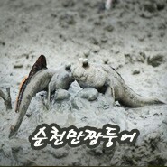 순천역게스트하우스 / 