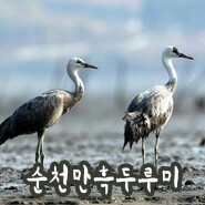 순천역게스트하우스 / 