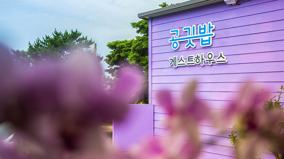 서귀포 공깃밥 게스트하우스 / 