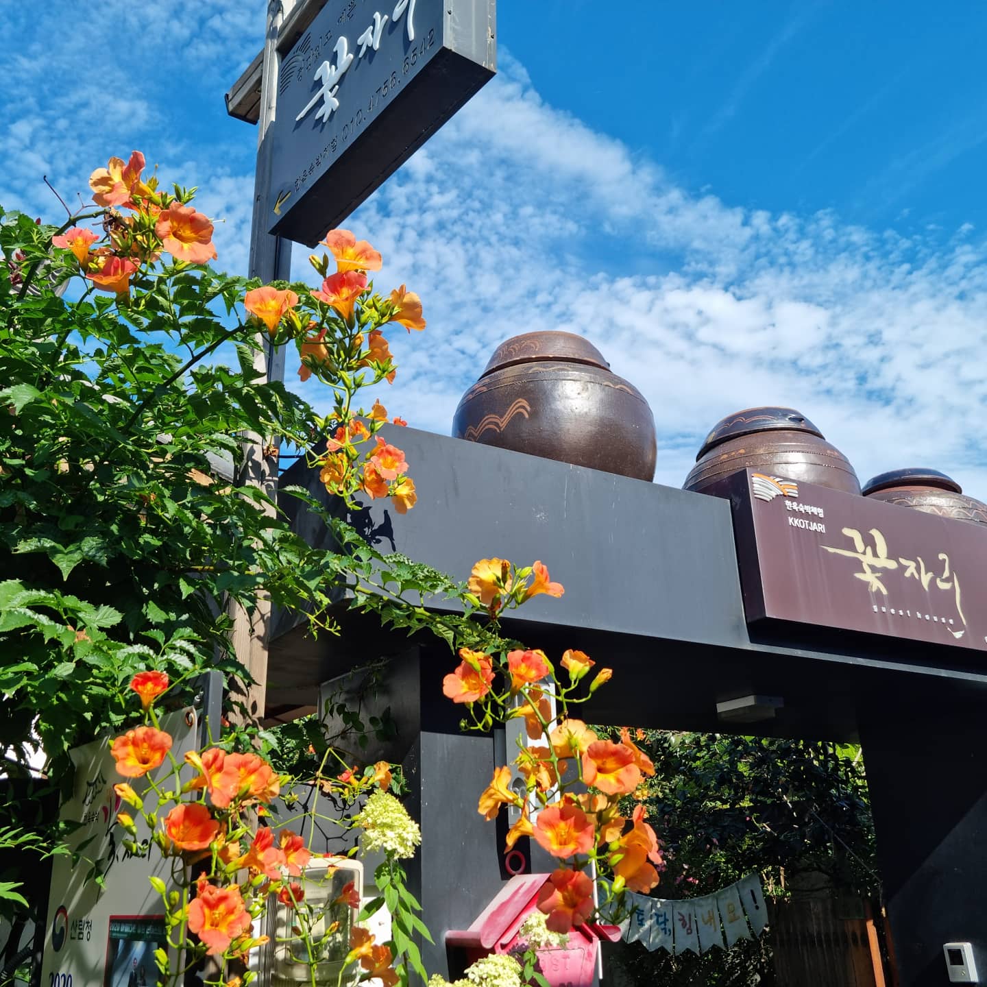 전주 한옥마을 꽃자리 / 