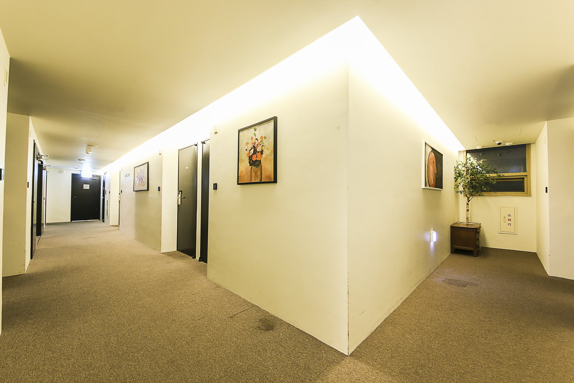 중구 HOTEL BIZ / 