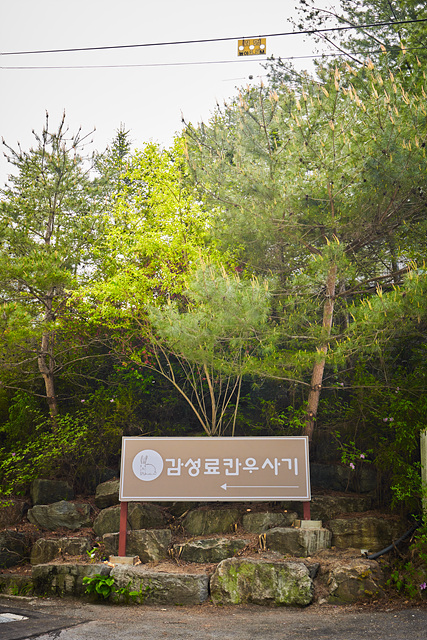 춘천 감성료칸 호텔 우사기 / 