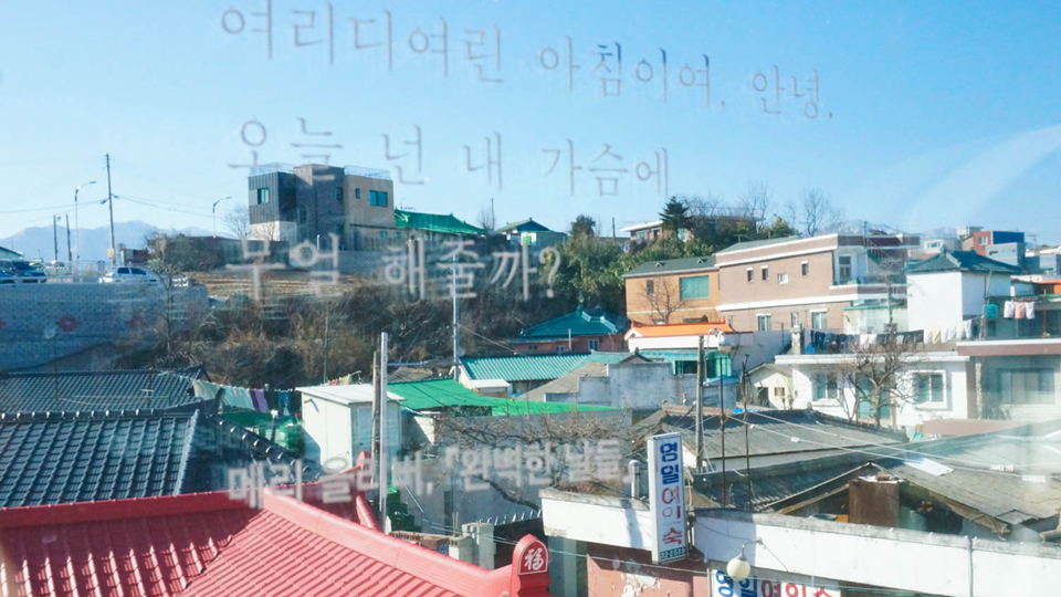 완벽한 날들 게스트하우스 / 