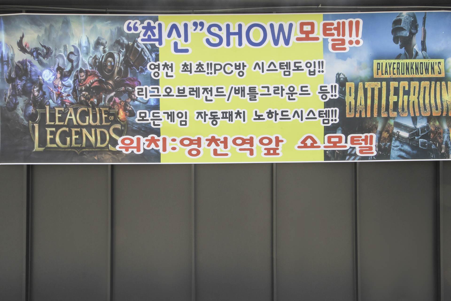 영천 쇼 / 