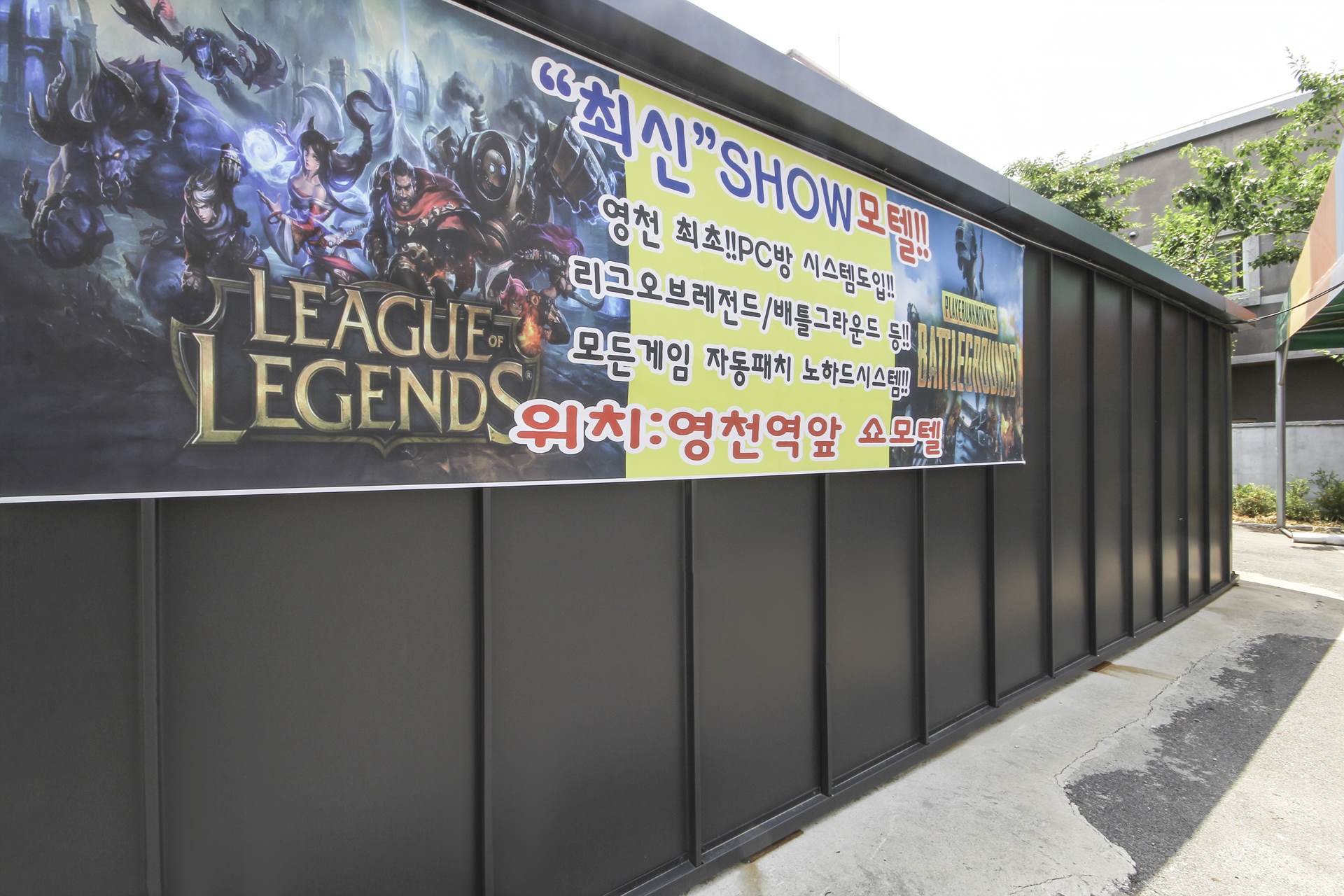 영천 쇼 / 