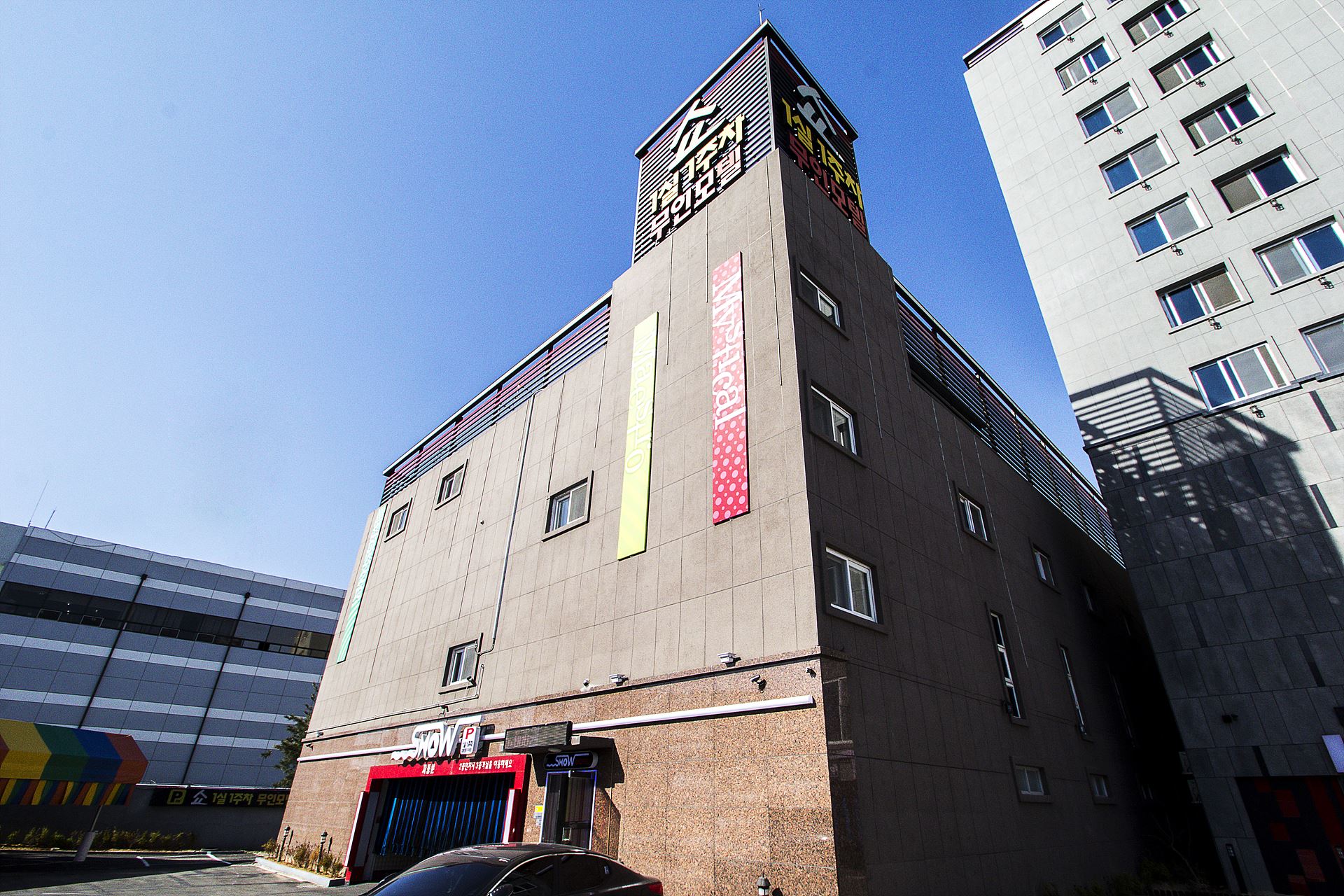 영천 쇼 / 