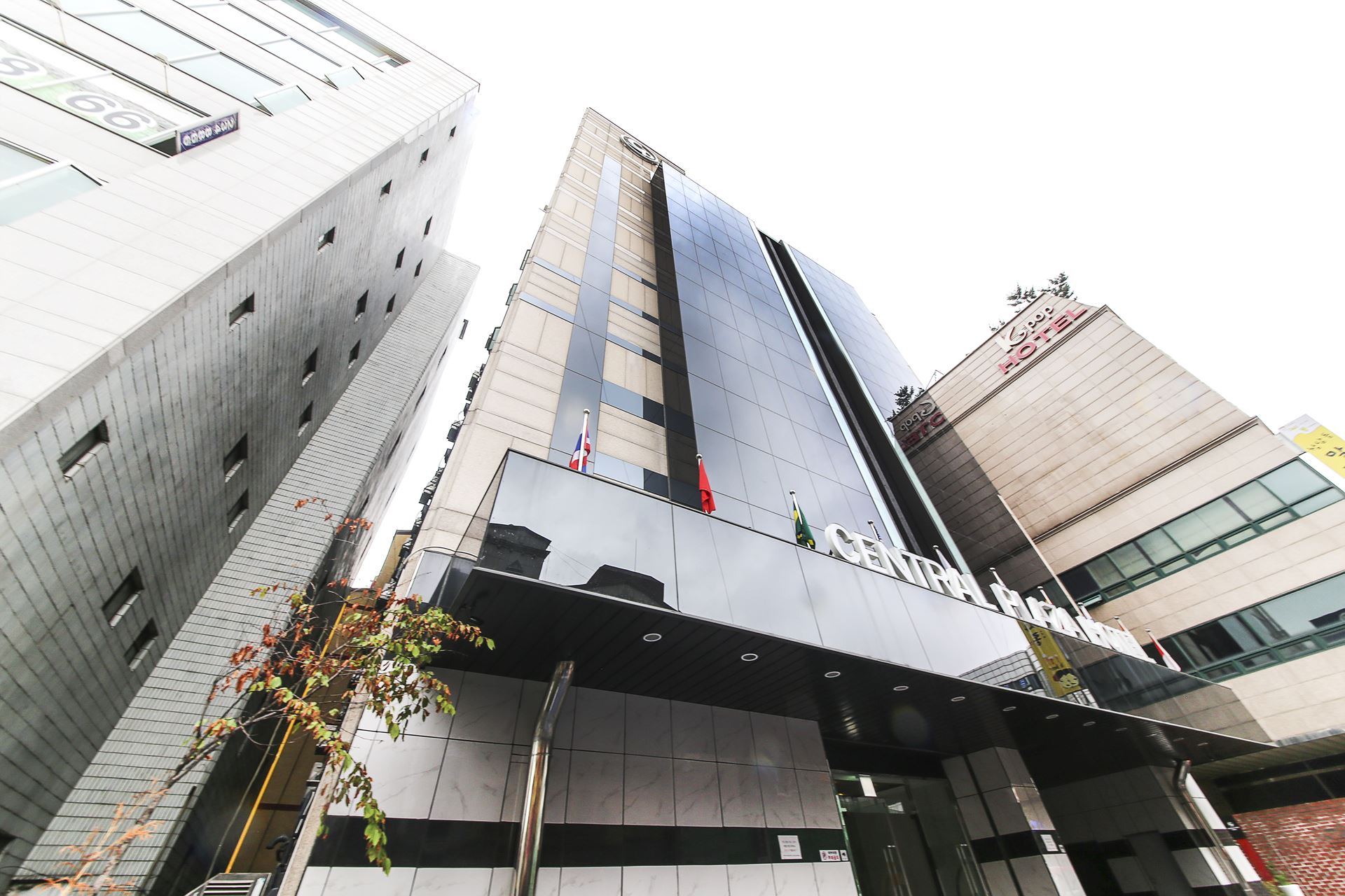 인계동 센트럴 프라자 호텔 / 