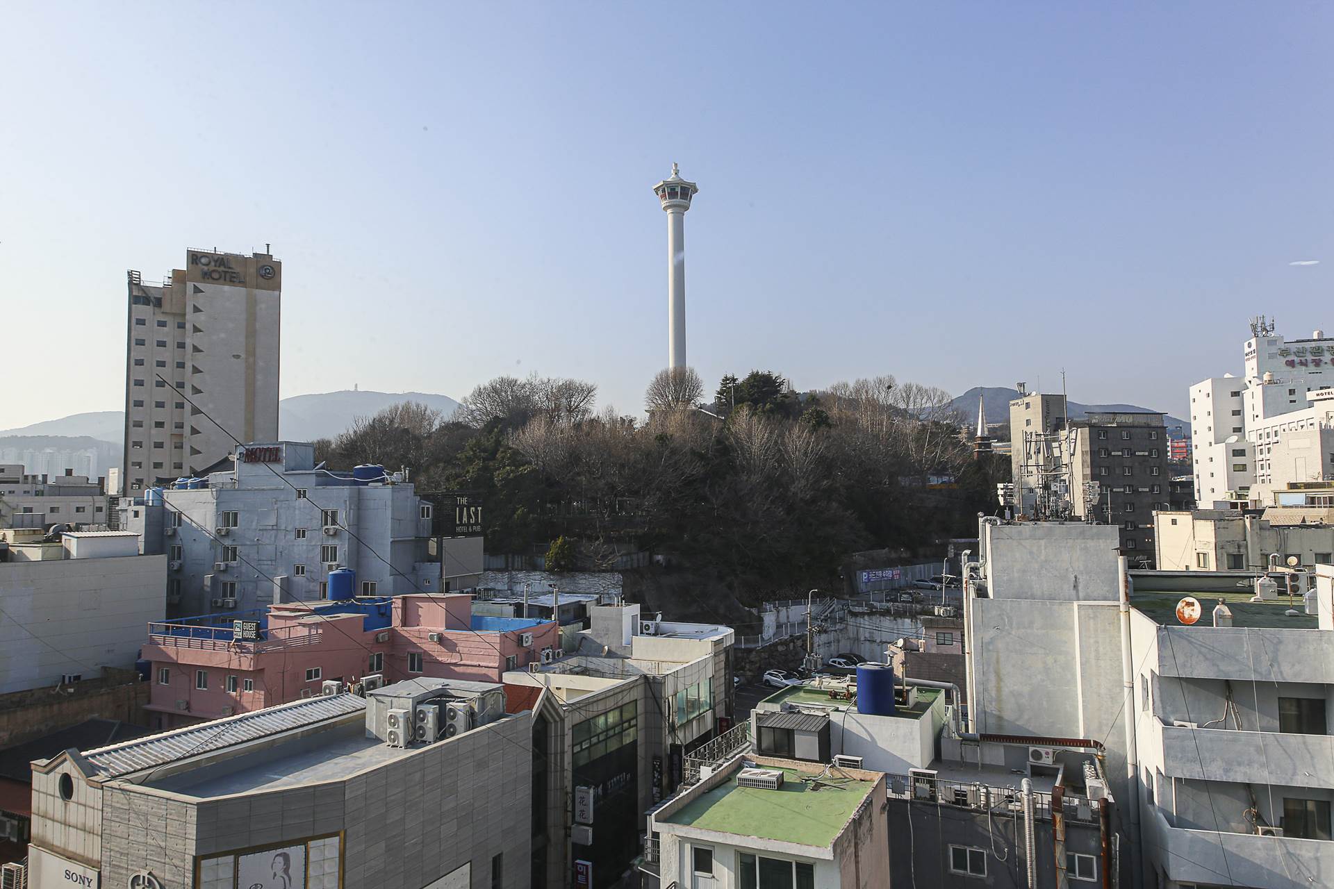 남포 콤마 / 