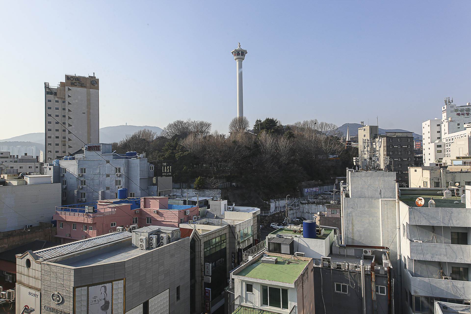 남포 콤마 / 