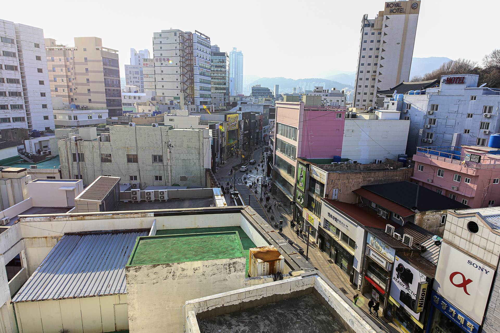 남포 콤마 / 