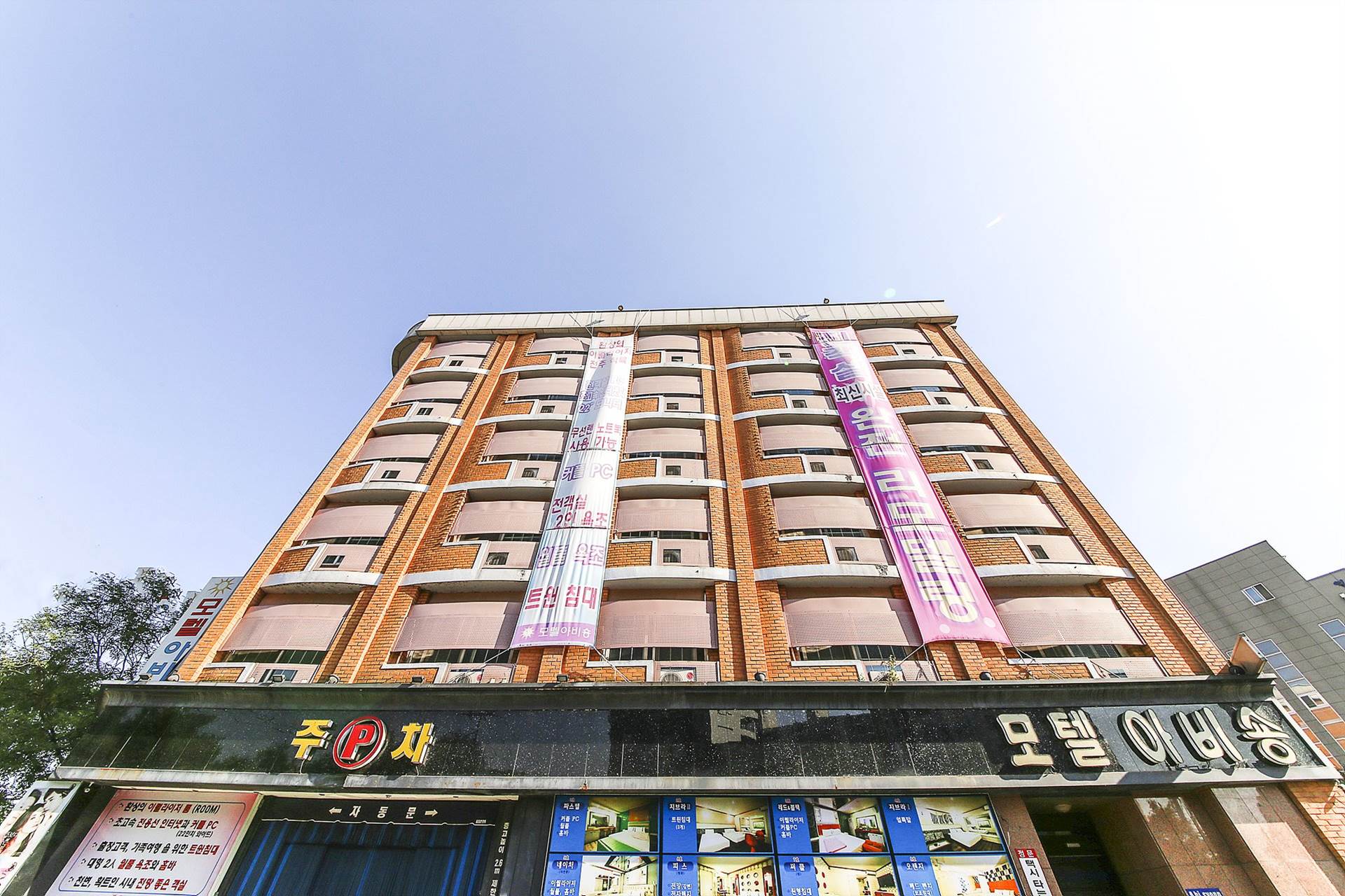 전주 아비숑 / 