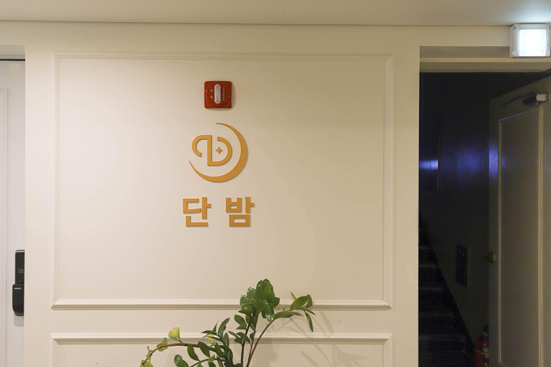 대전 단밤호텔 / 