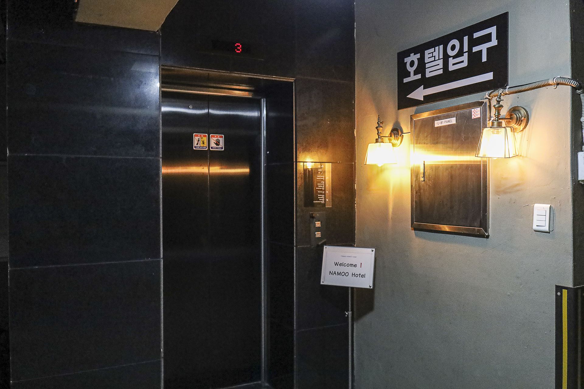 유성 호텔나무 / 