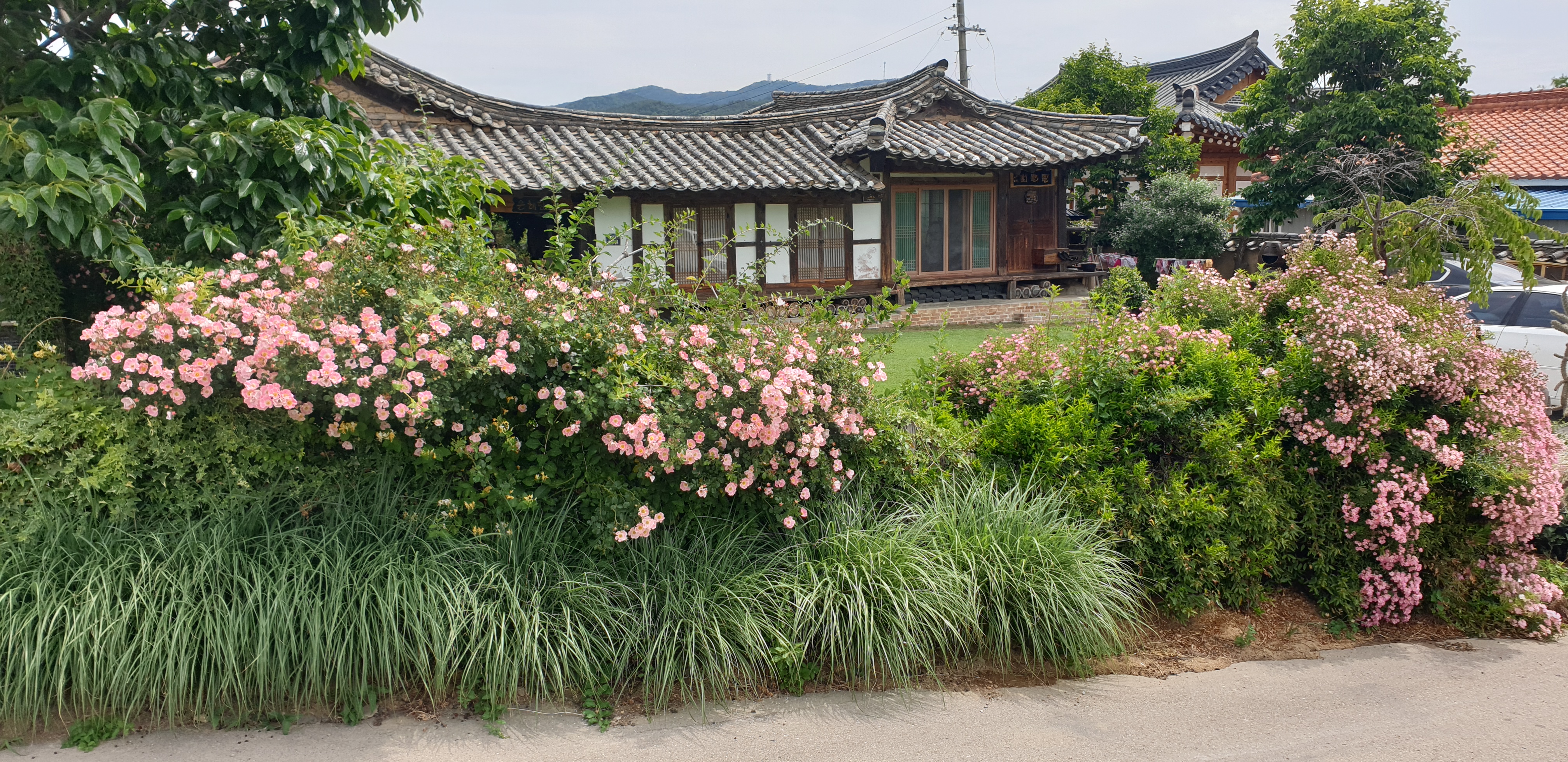 영덕 고택 은혜당 /