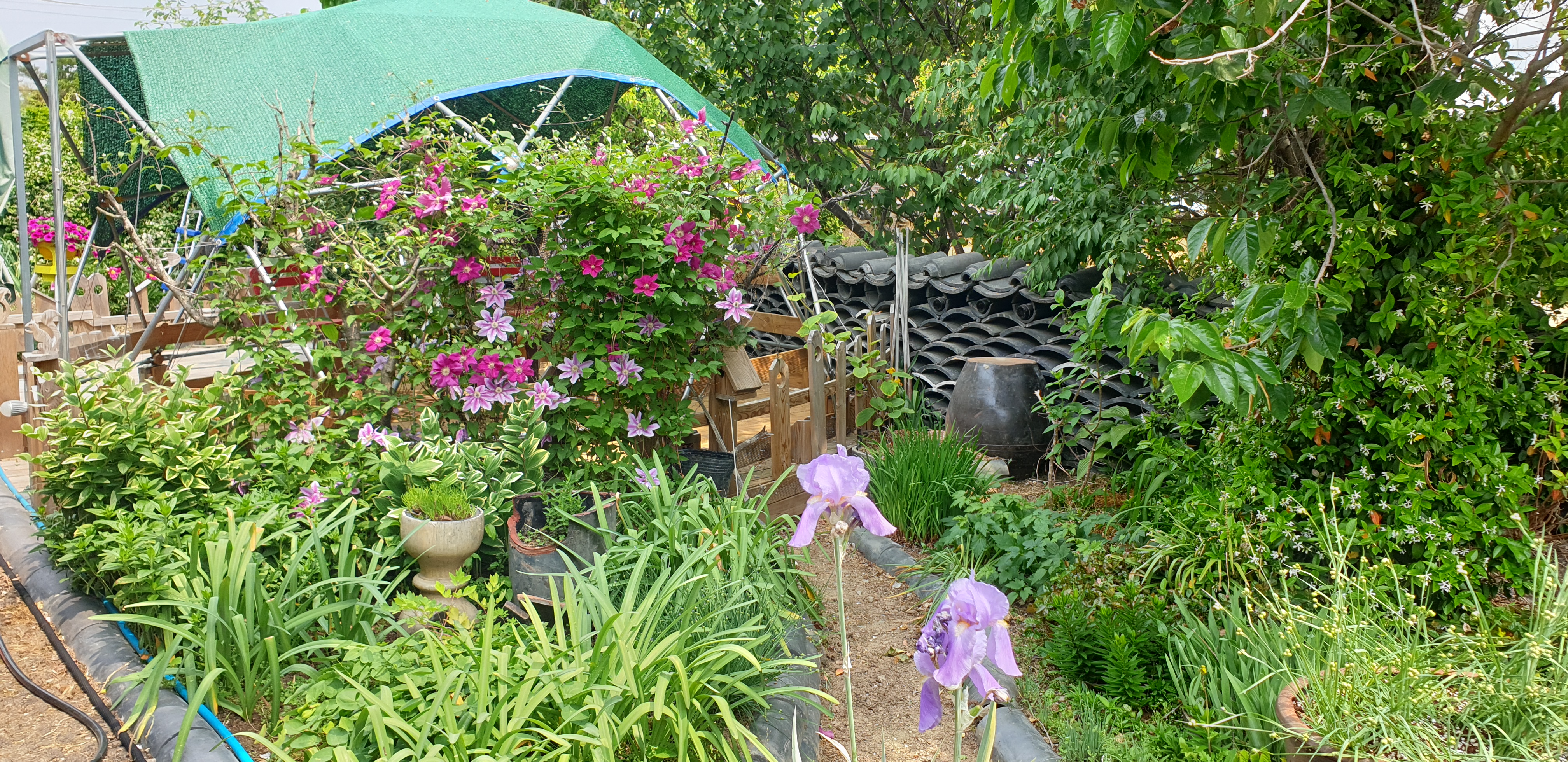 영덕 고택 은혜당 /