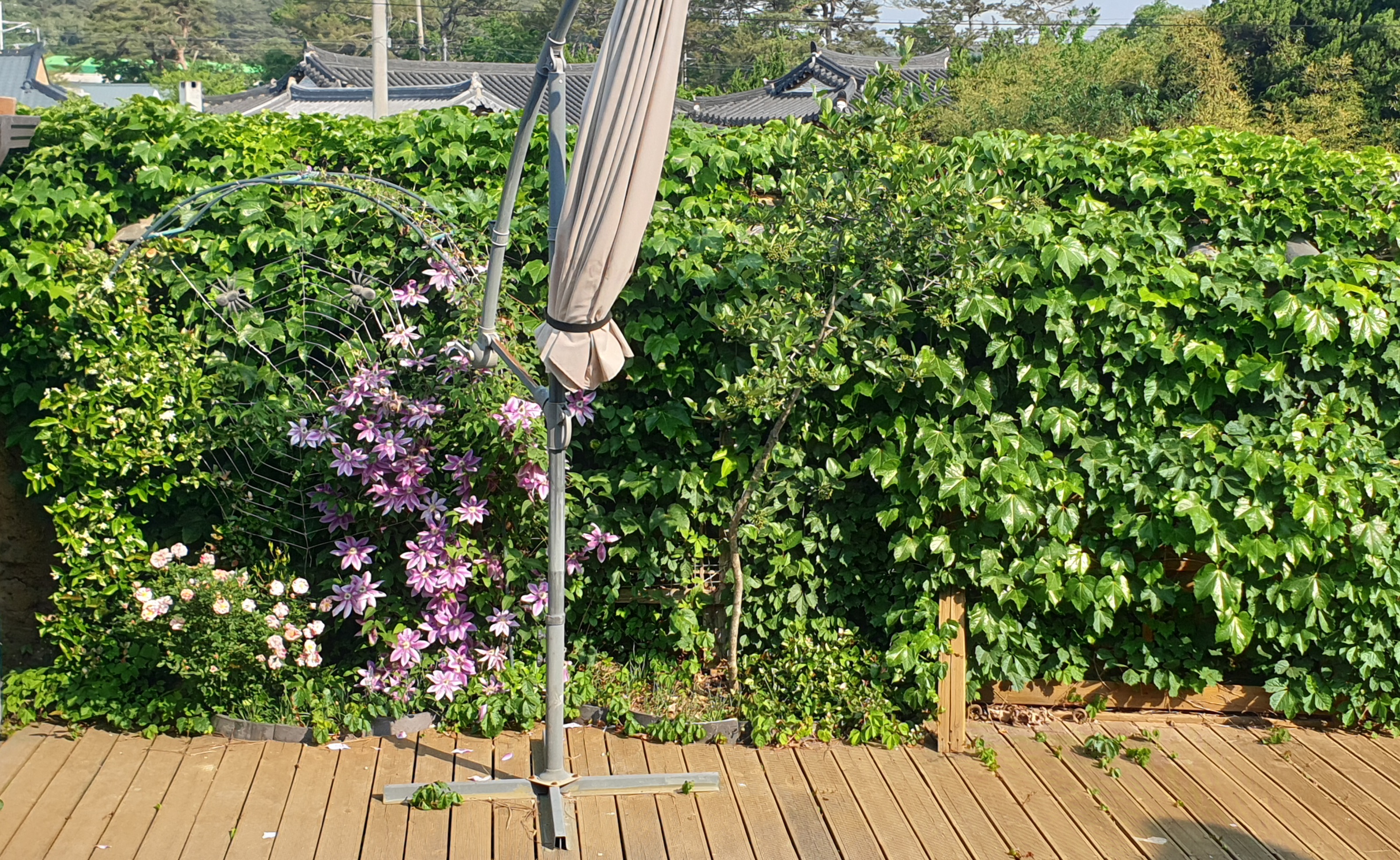 영덕 고택 은혜당 /