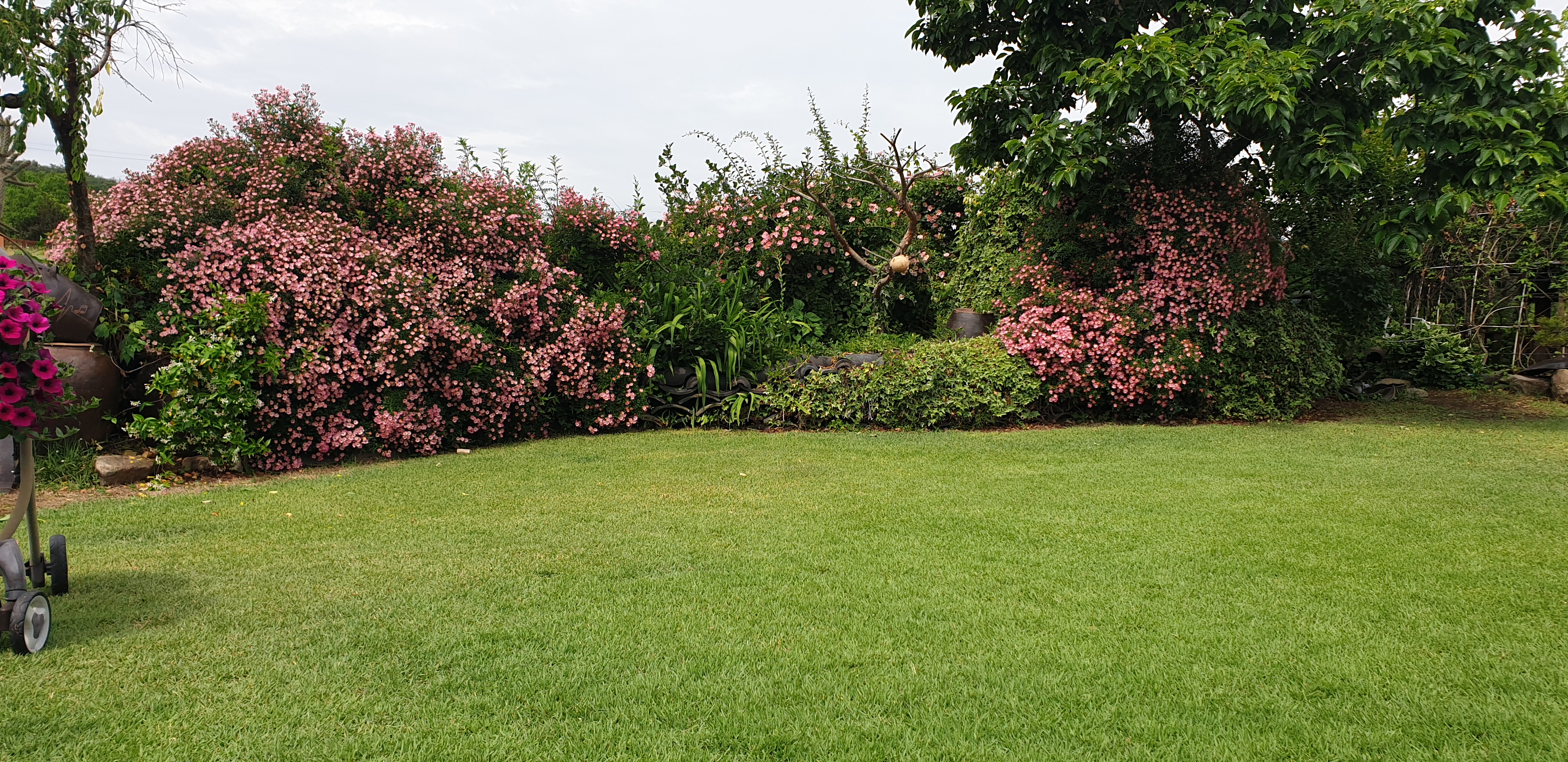 영덕 고택 은혜당 /