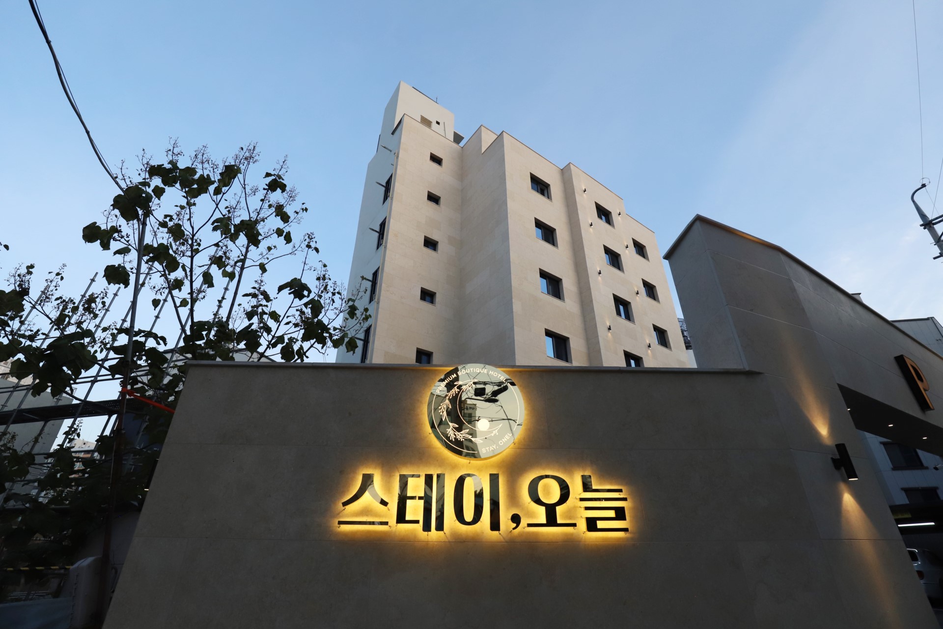 대전 스테이 오늘 / 