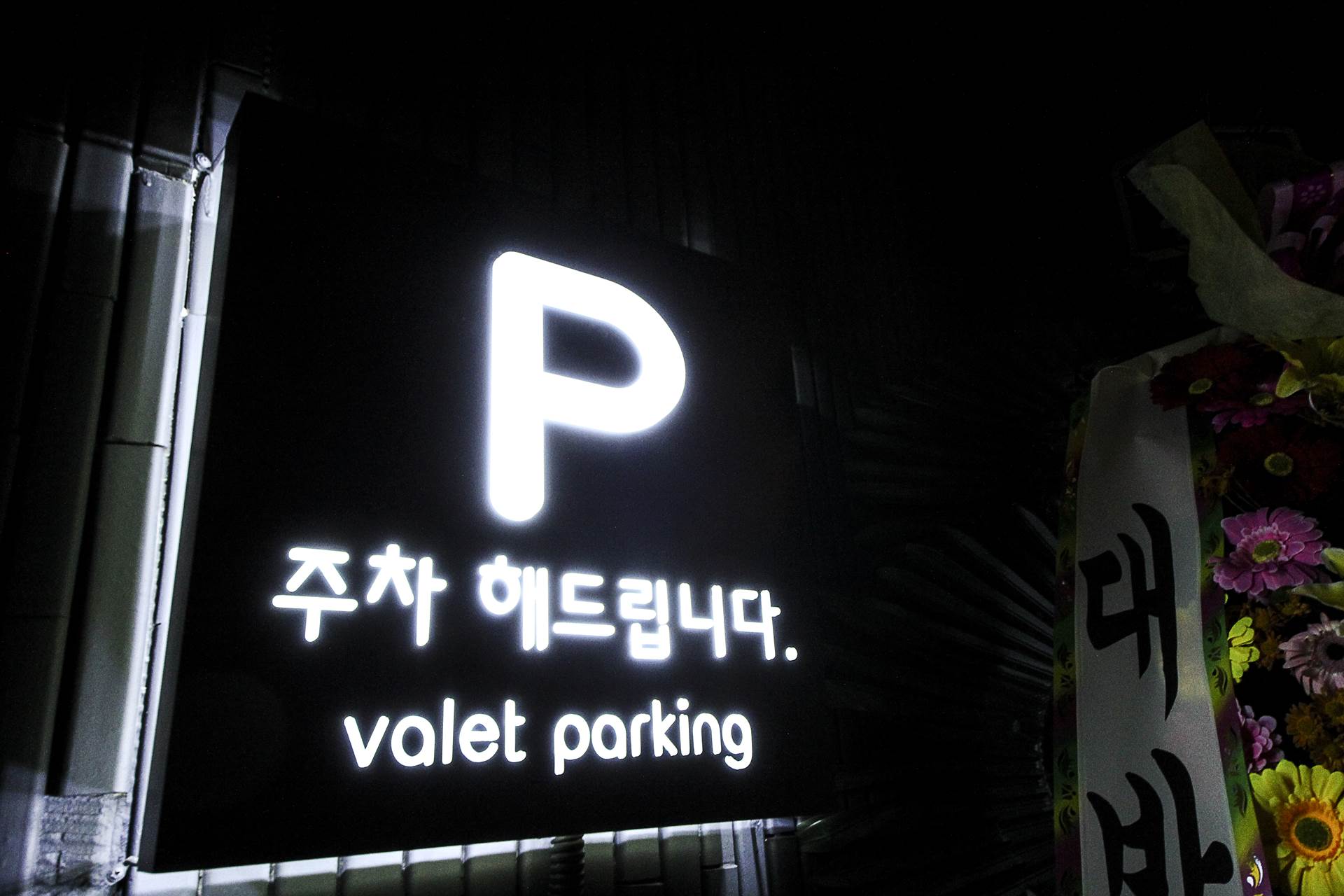 안양 핀 / 