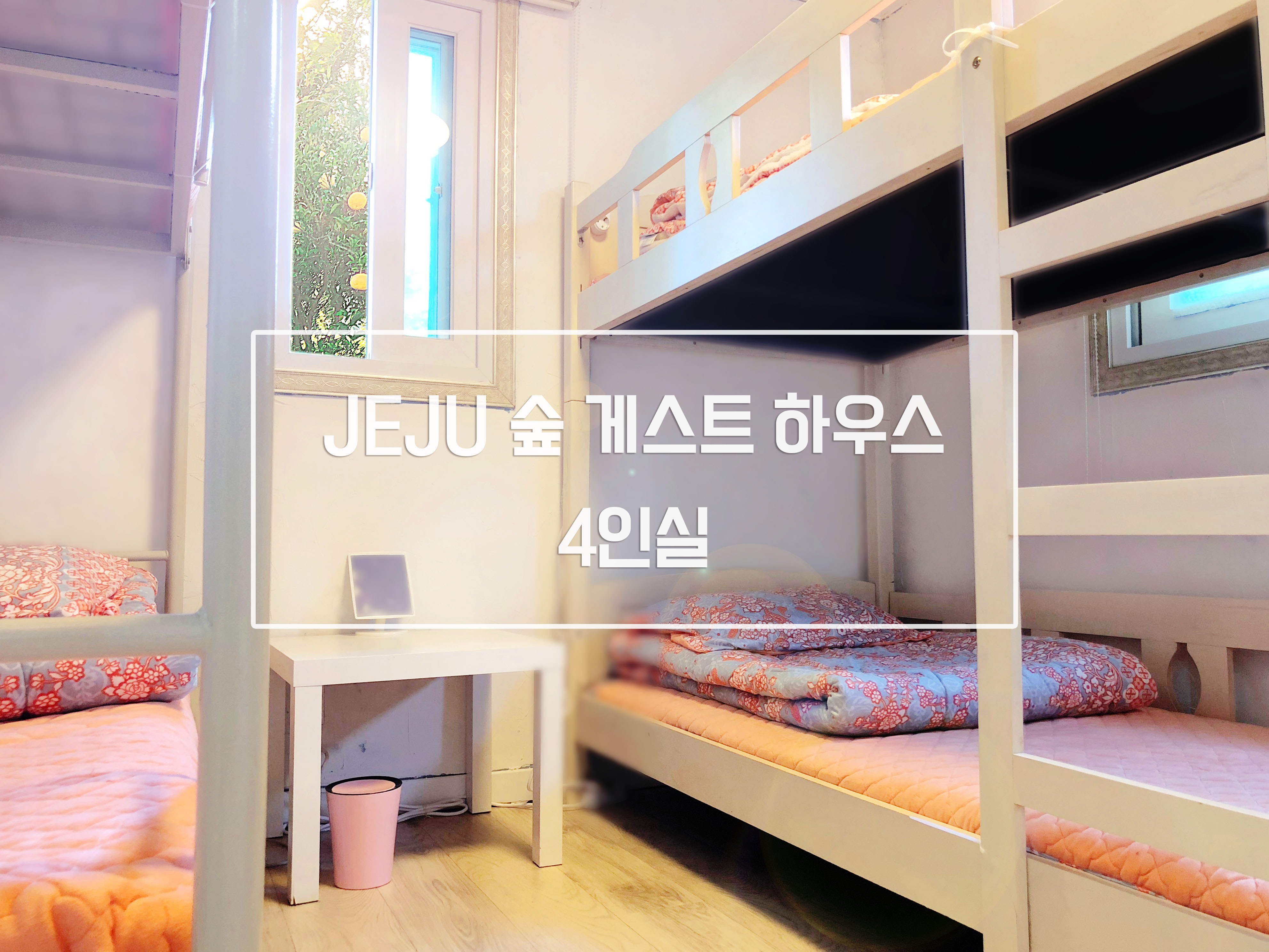 제주 숲 게스트하우스 / 