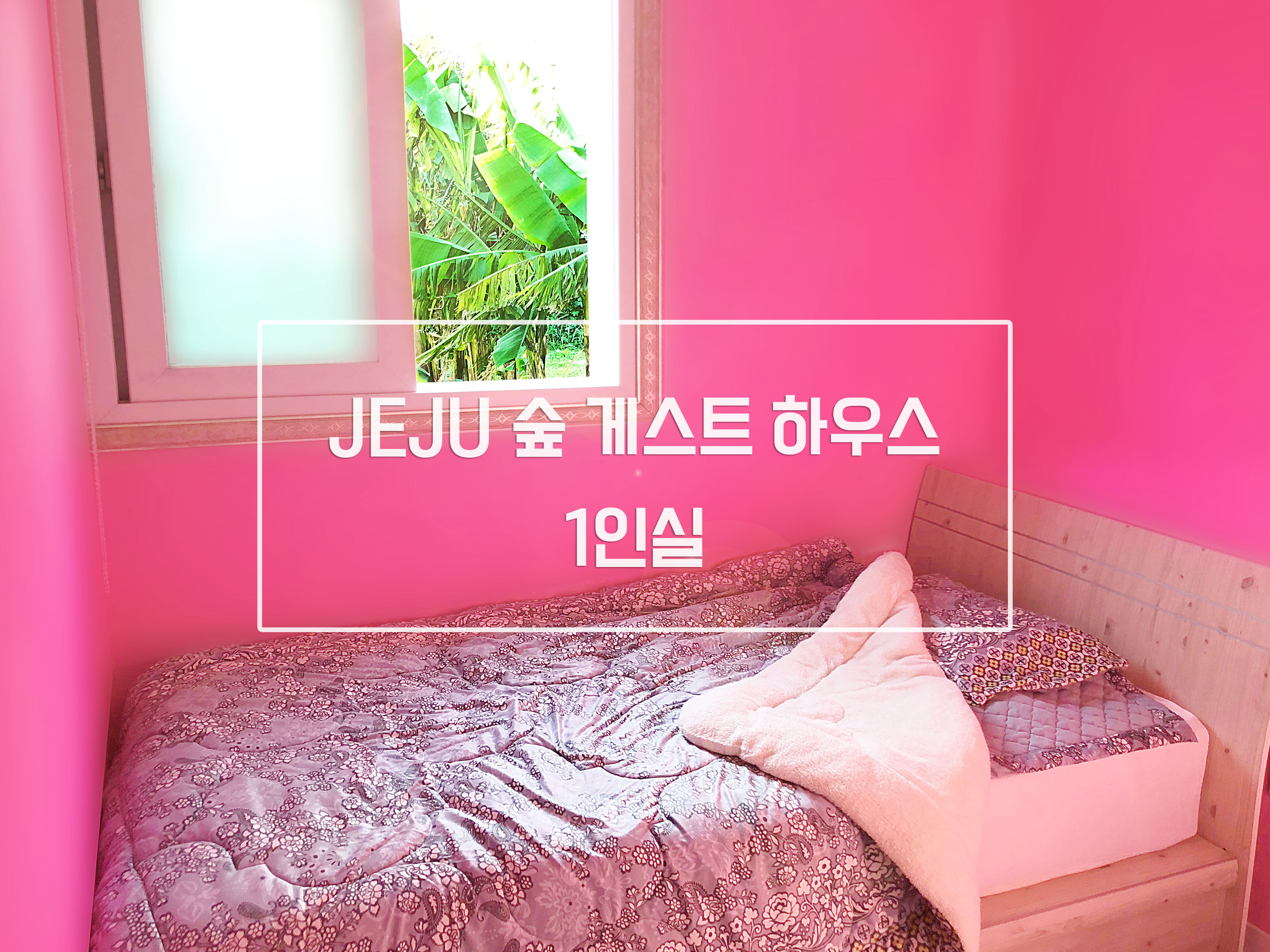 제주 숲 게스트하우스 / 