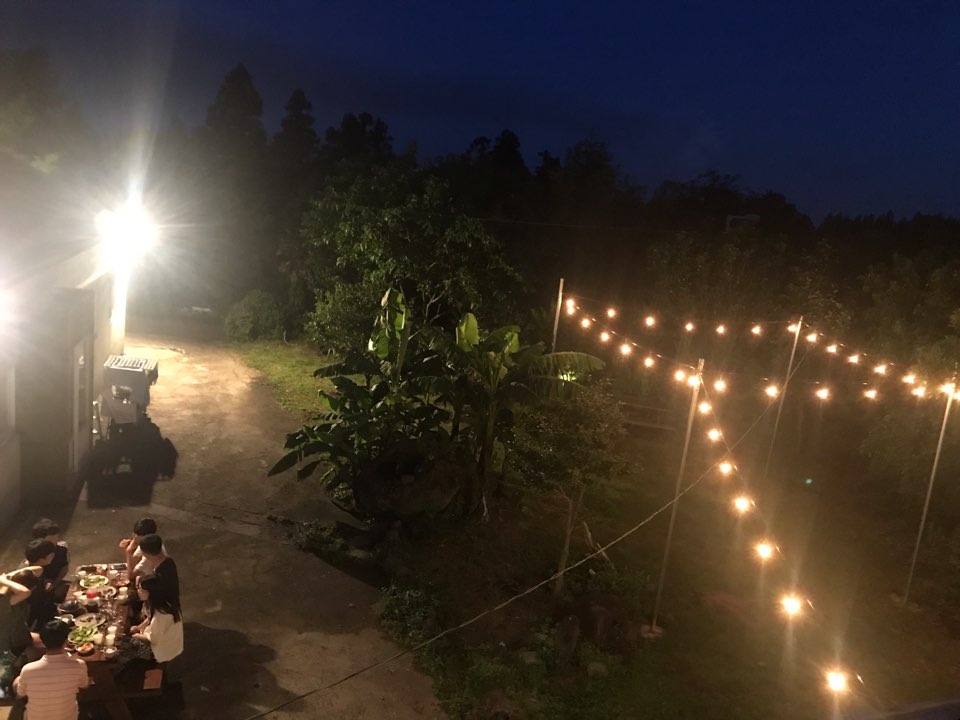 제주 숲 게스트하우스 / 