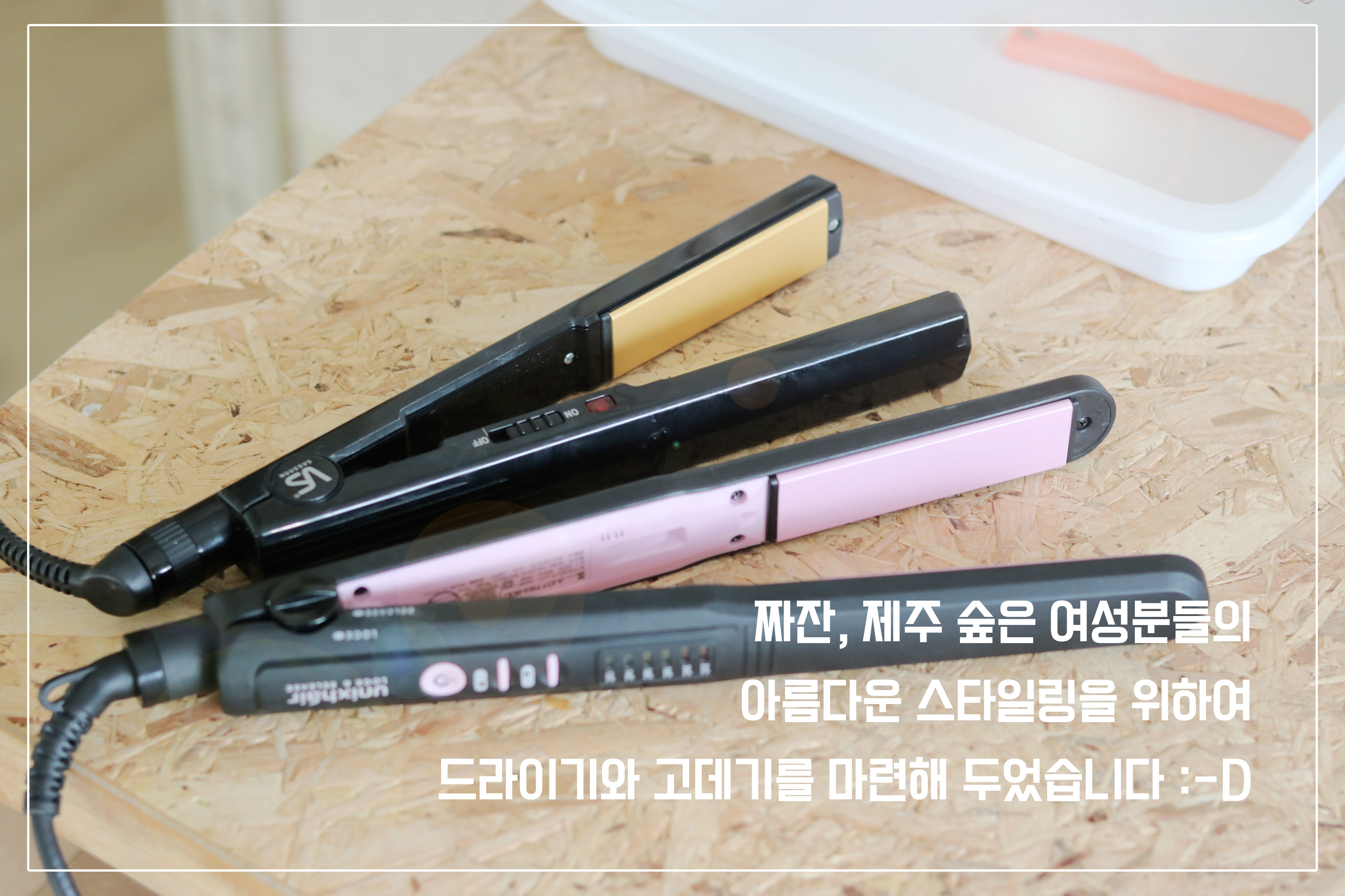 제주 숲 게스트하우스 / 