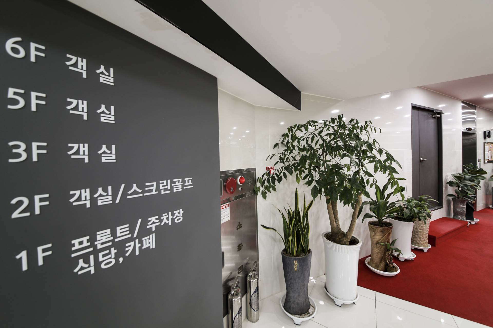 진천 호텔 올림피아 / 