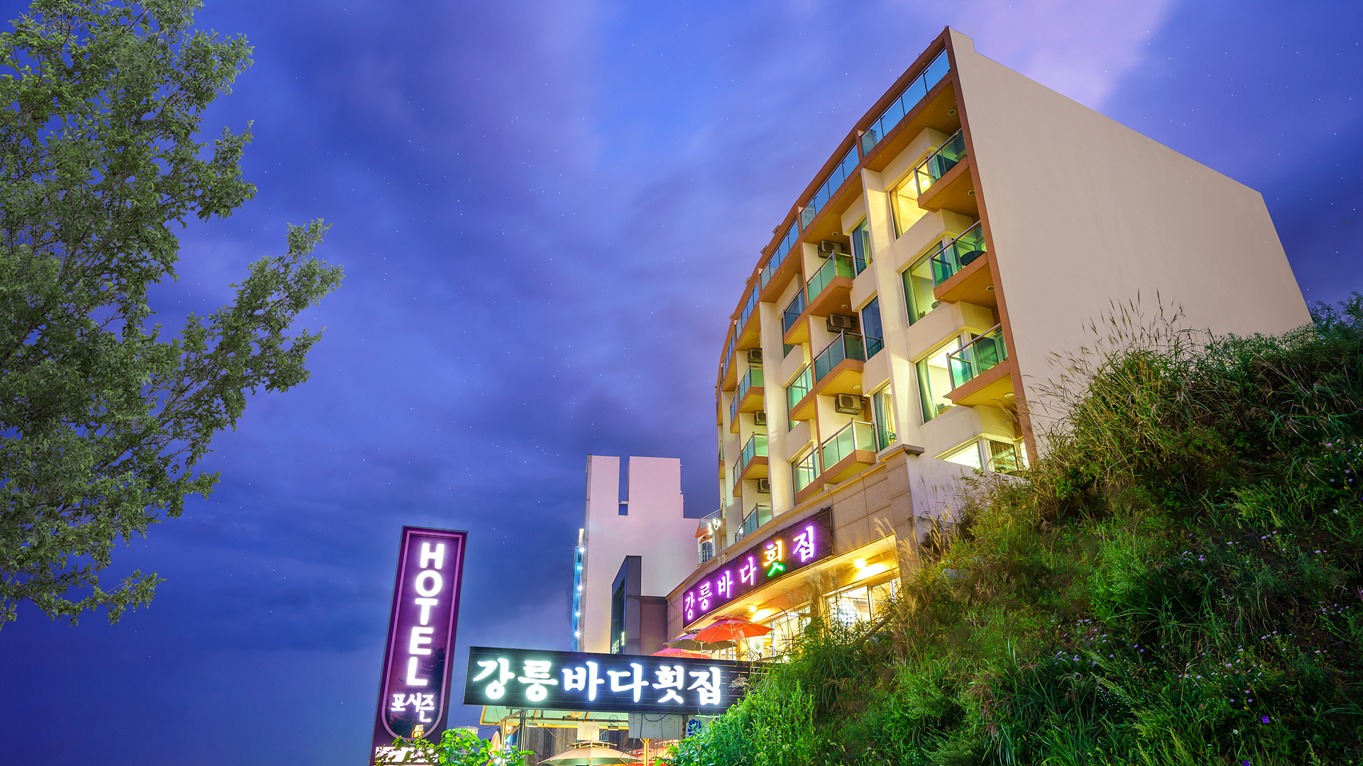 경포대 포시즌비치호텔 / 