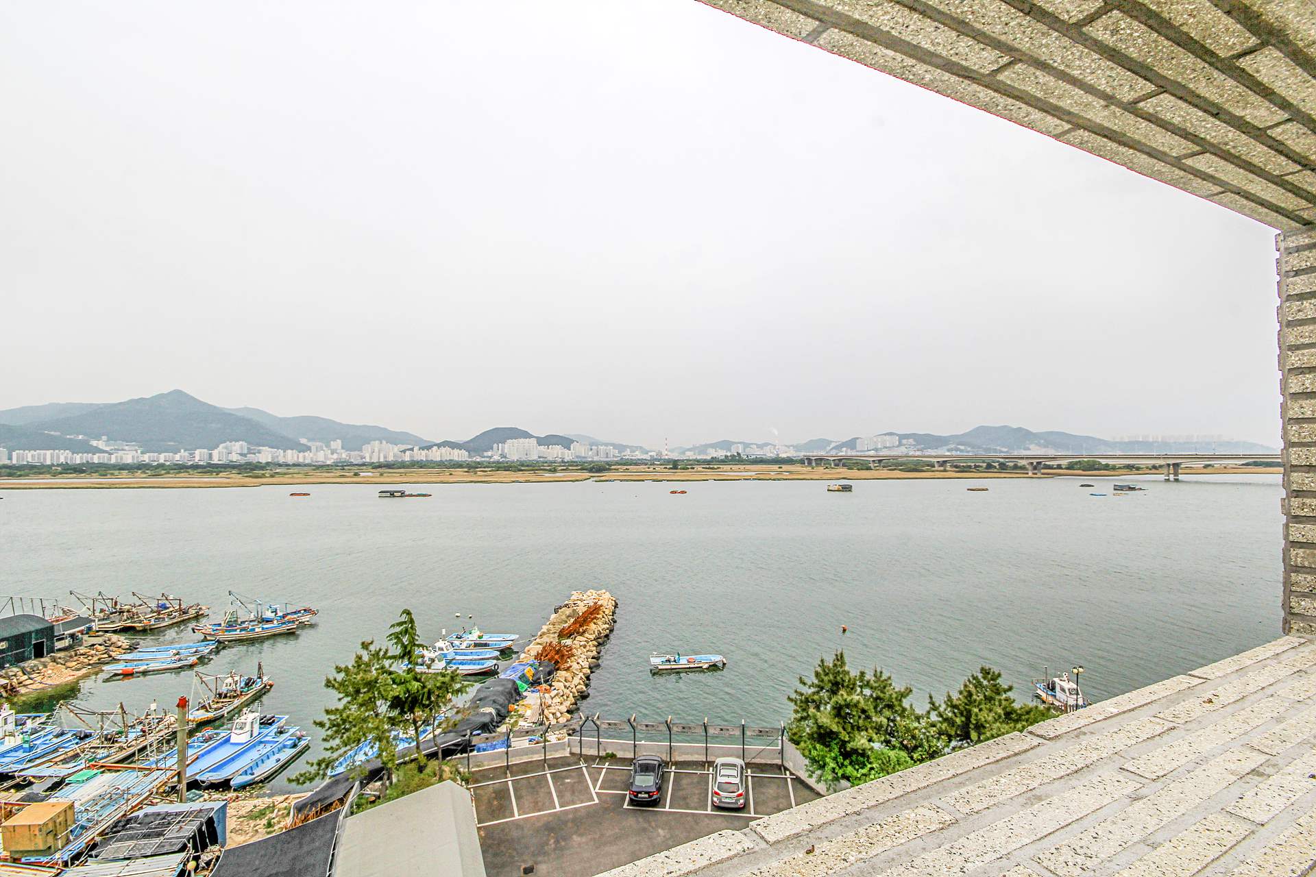 명지 브라운도트 / 