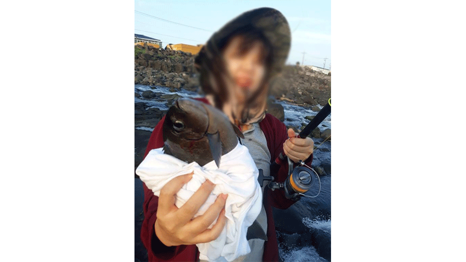 서귀포 오렌지 게스트하우스 / 
