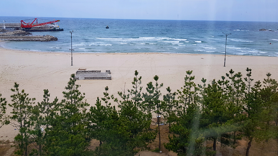 솔 게스트하우스 양양서핑점 / 