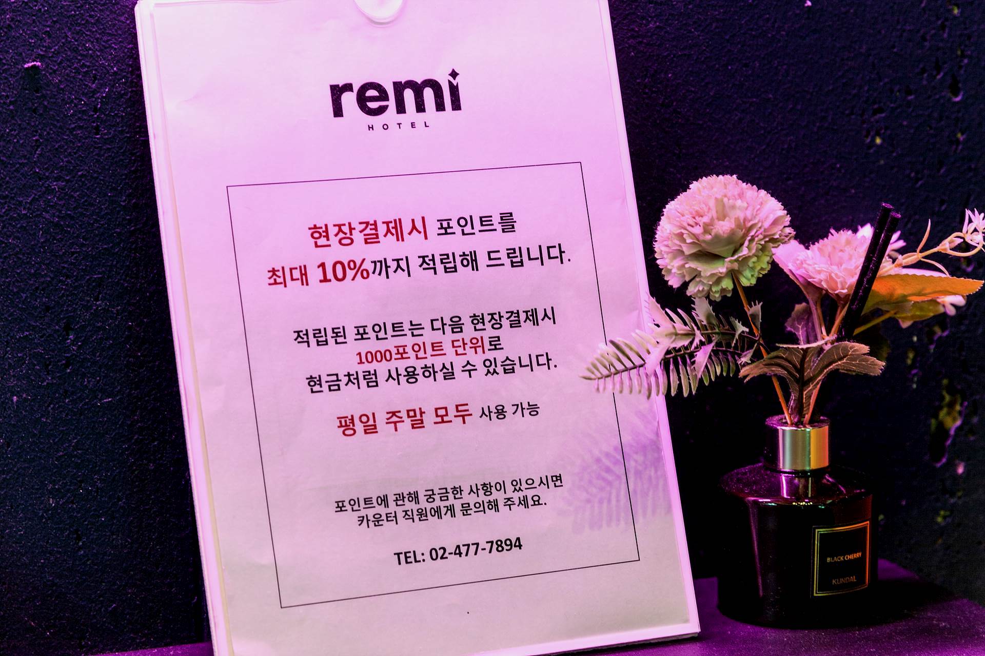 길동 레미-Remi / 