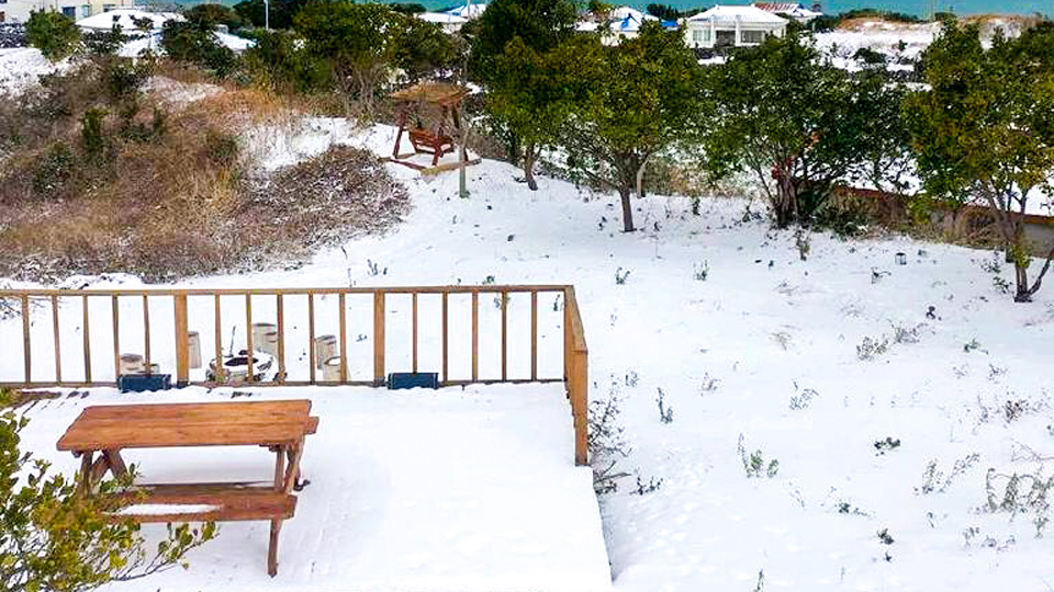 제주 평대모살 cozy / 
