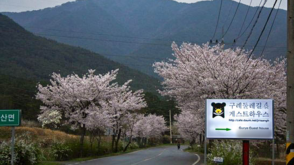 구례 둘레길 게스트하우스 / 
