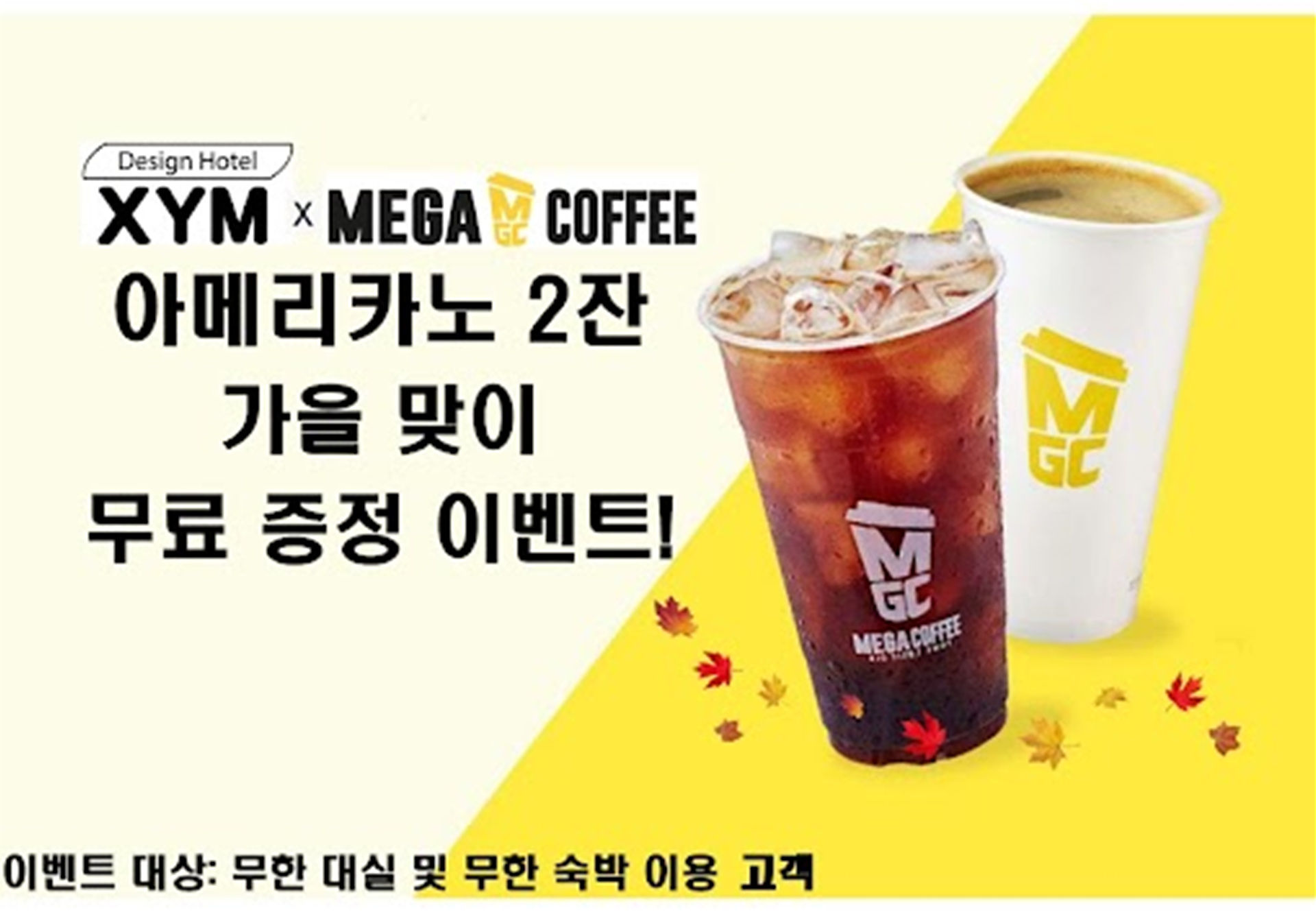 성남 XYM / 