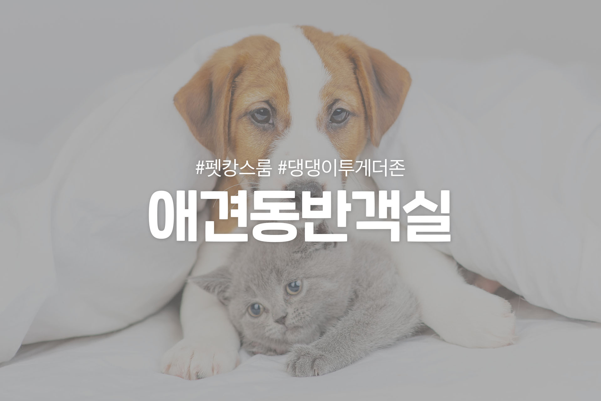 청주 블랑 / 