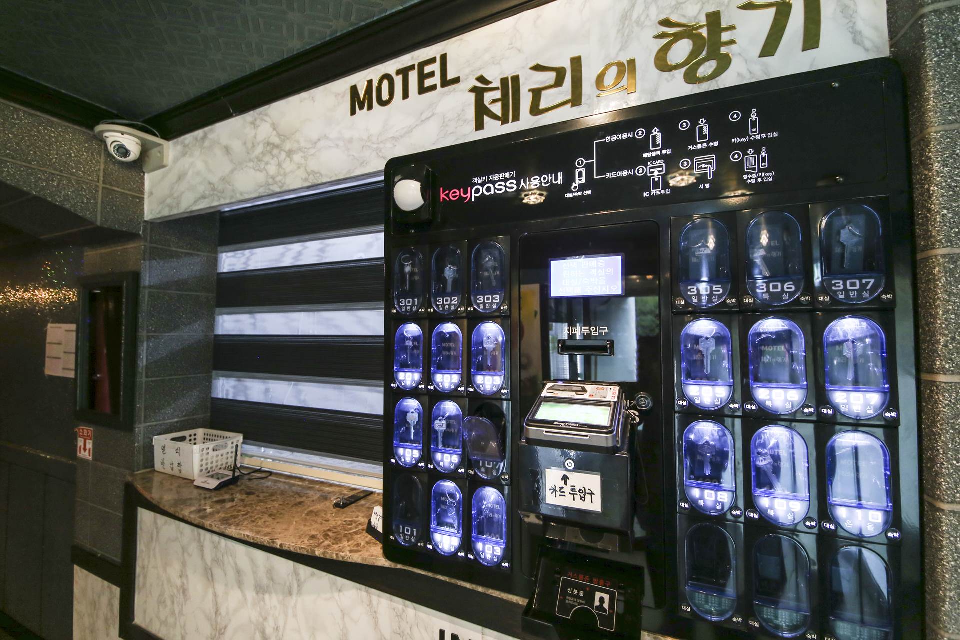 금산 체리의향기 / 